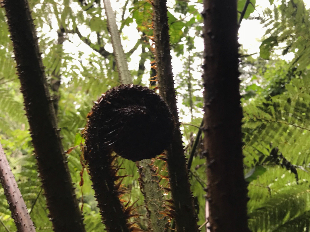 Kereita Cave and Waterfall-阿伯德尔国家公园必去景点