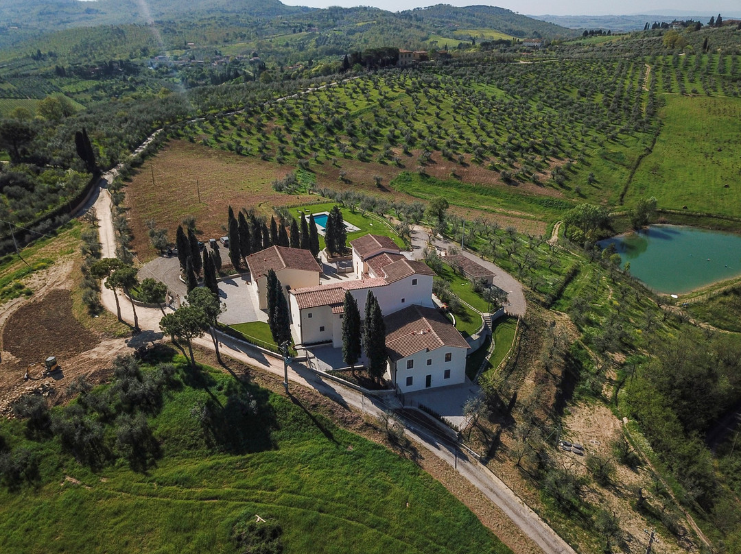 Olmofiorito