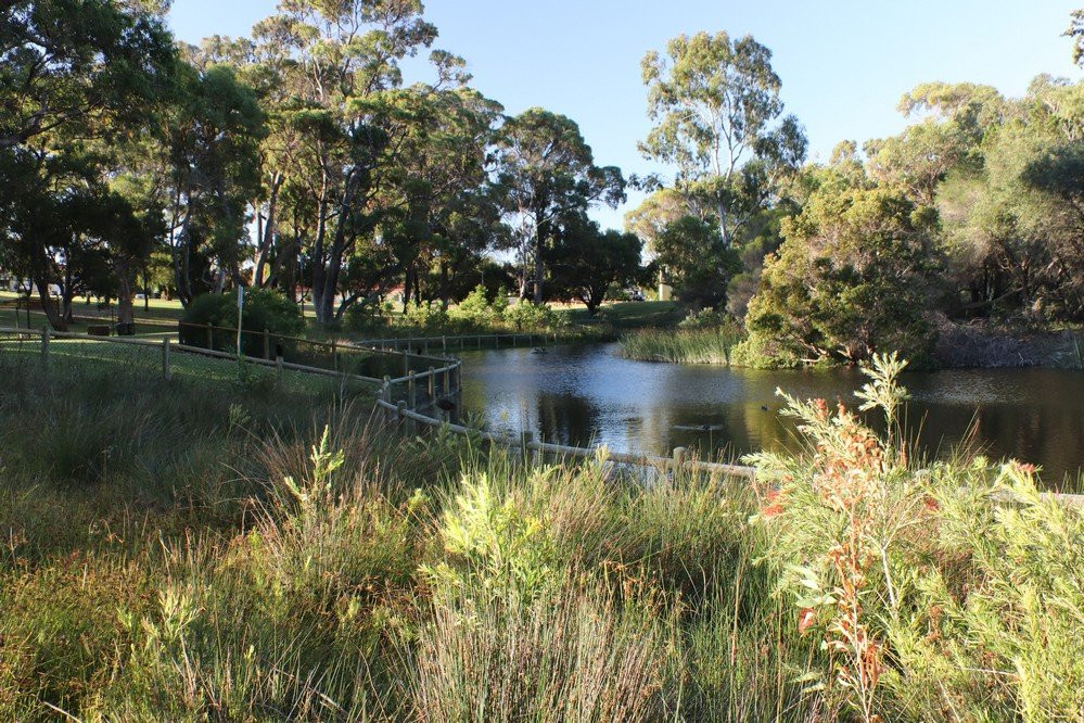 Mawson Park景点图片