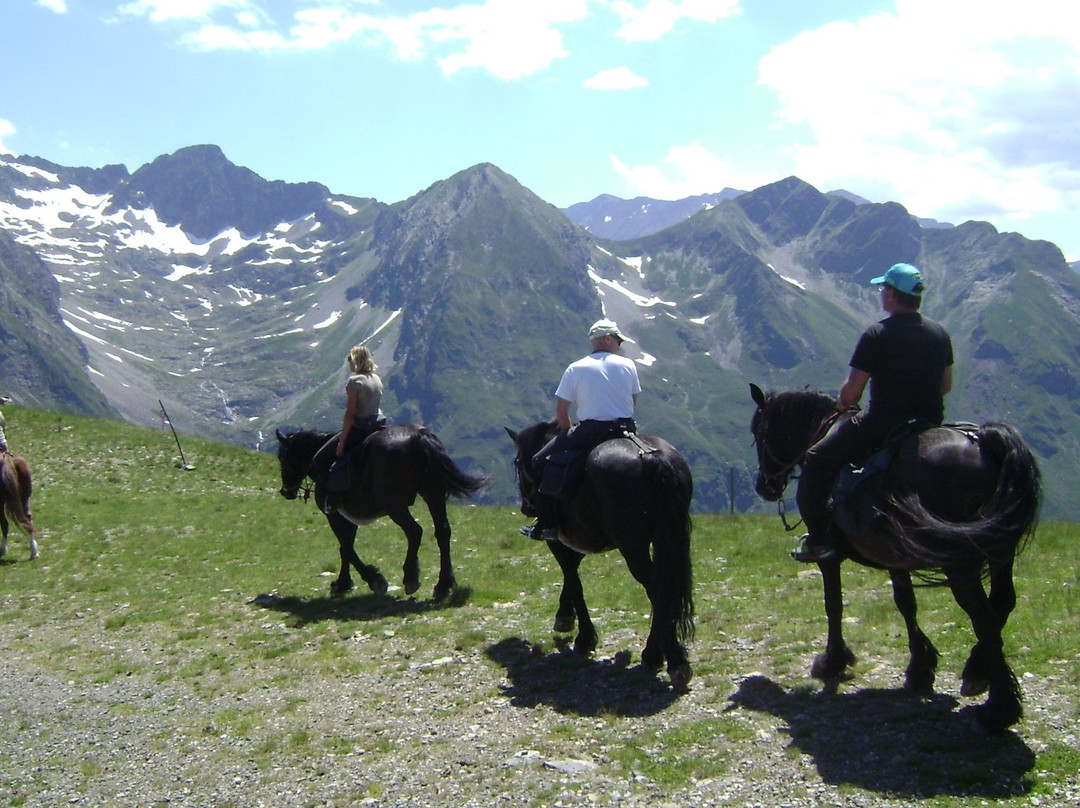 Centre Equestre de Luchon景点图片