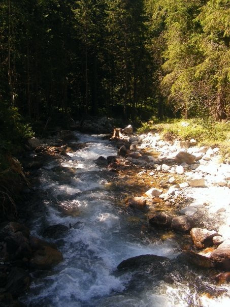 Camping Neige et Nature
