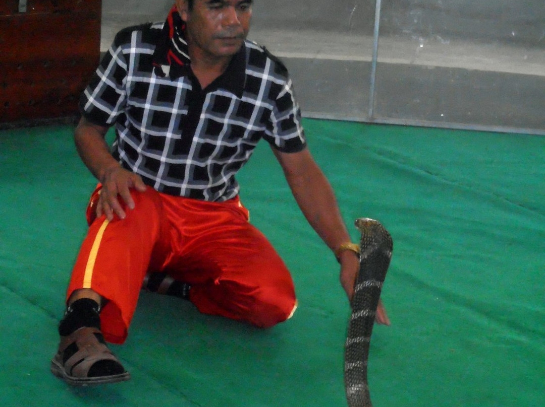 Nha Trang Snake Show景点图片
