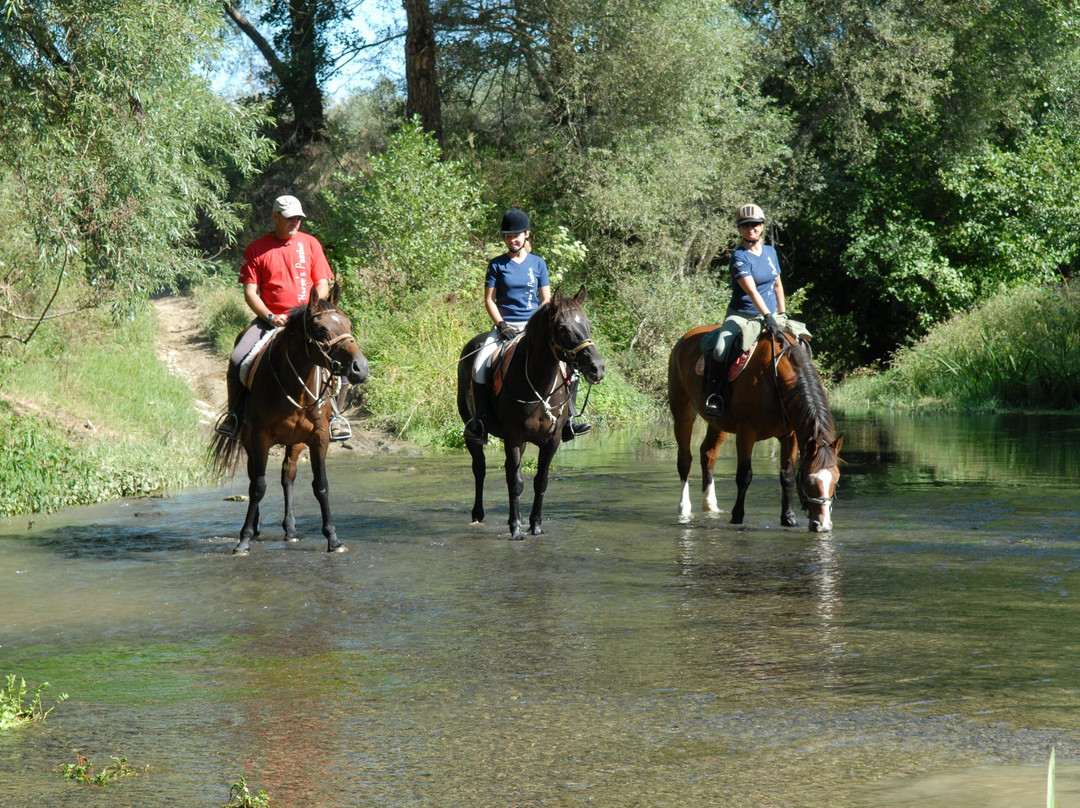 Agriturismo I Moresani, Passeggiate, escursioni e trekking a cavallo.景点图片
