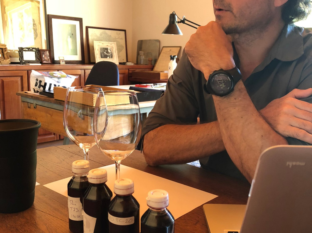 Overgaauw Wine Estate-斯泰伦博斯必去景点