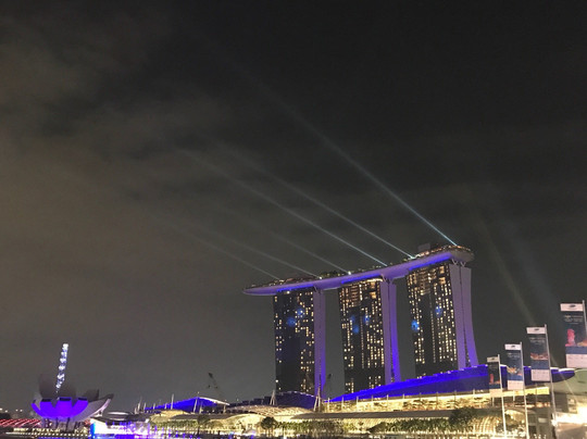 Withlocals-新加坡必去景点