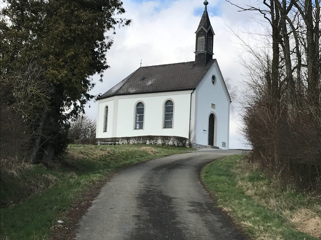 Kreuzweg zum Käppele景点图片