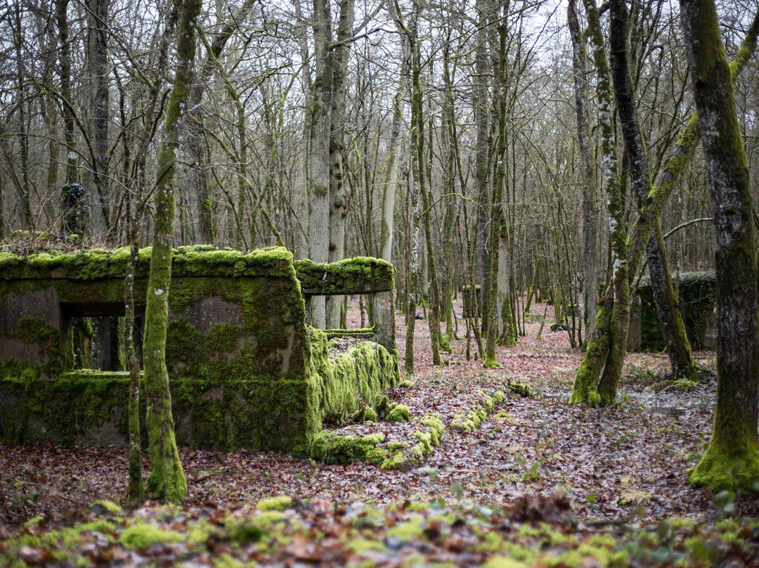 Camp Marguerre-Loison必去景点