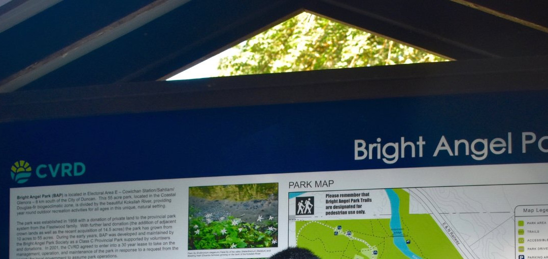 Bright Angel Park景点图片