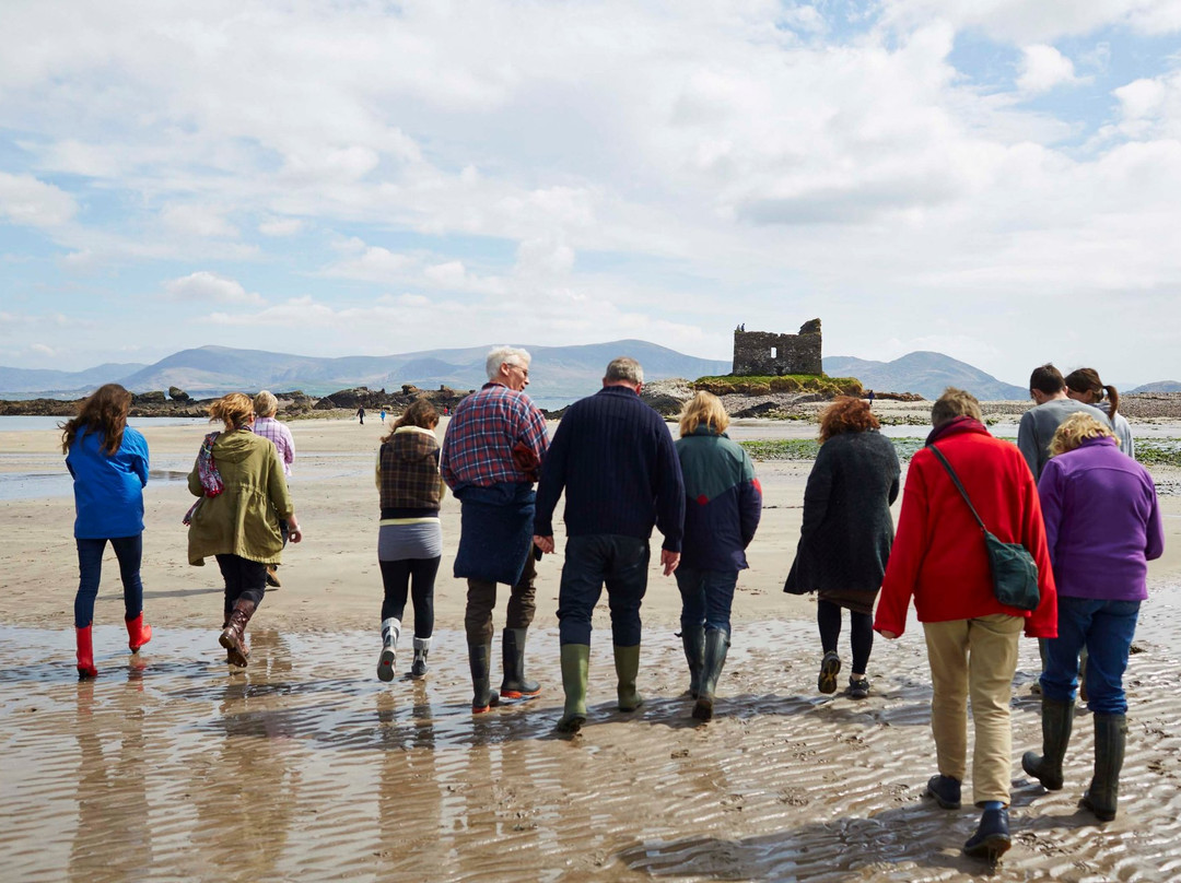 Atlantic Irish Seaweed-Caherdaniel必去景点