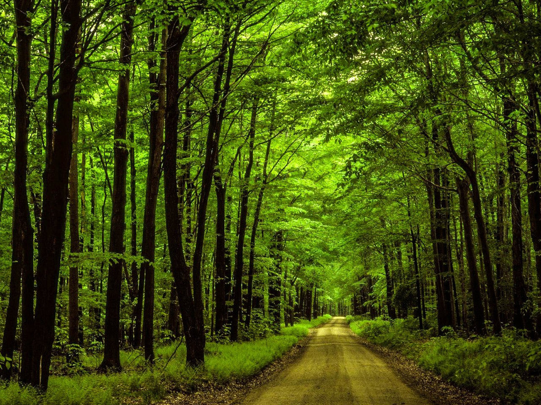 Garage Real Adventures-美奈必去景点