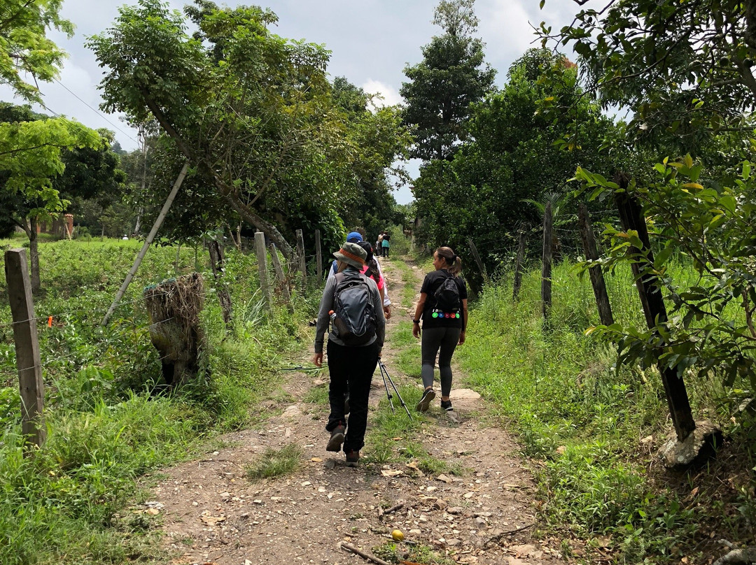 Camino Real de la Mesa景点图片