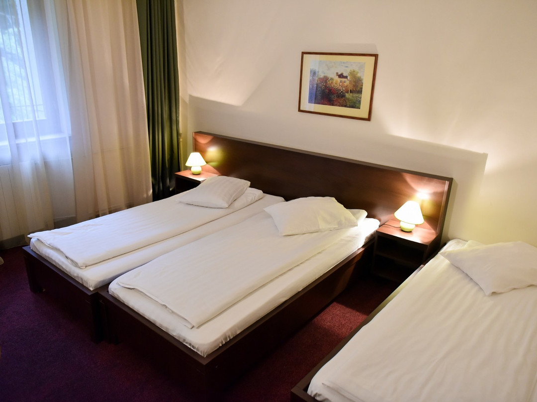 Hotel Panoramic主图