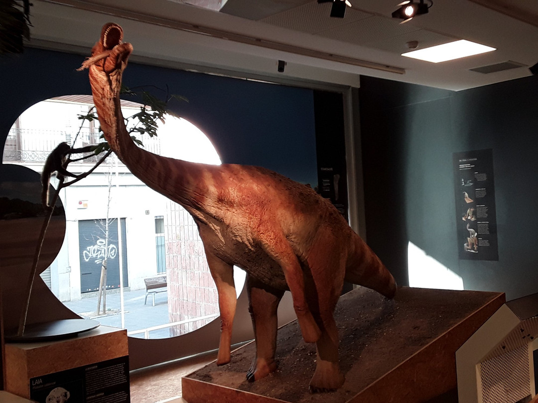 Museu de l'Institut Catala de Paleontologia Miquel Crusafont景点图片