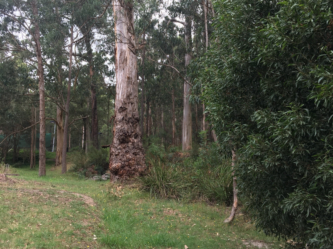 Minak Reserve-贝尔格雷夫必去景点
