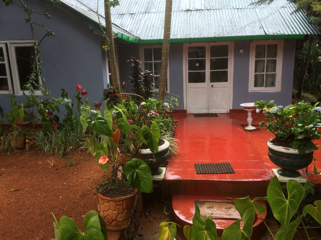 Hotel Mango Tree Nearest Adam's Peak