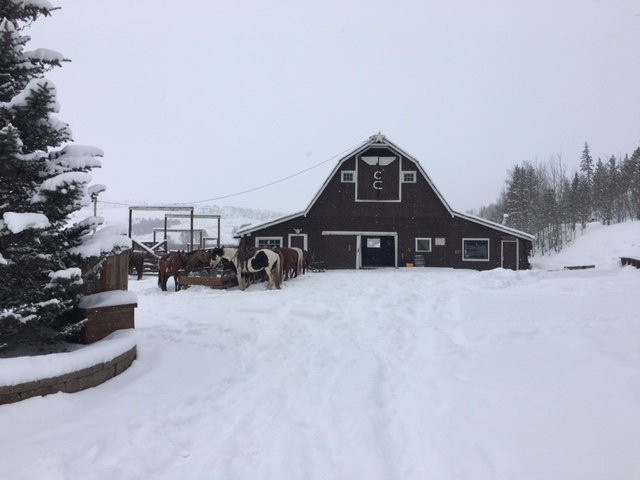 C Lazy U Ranch主图