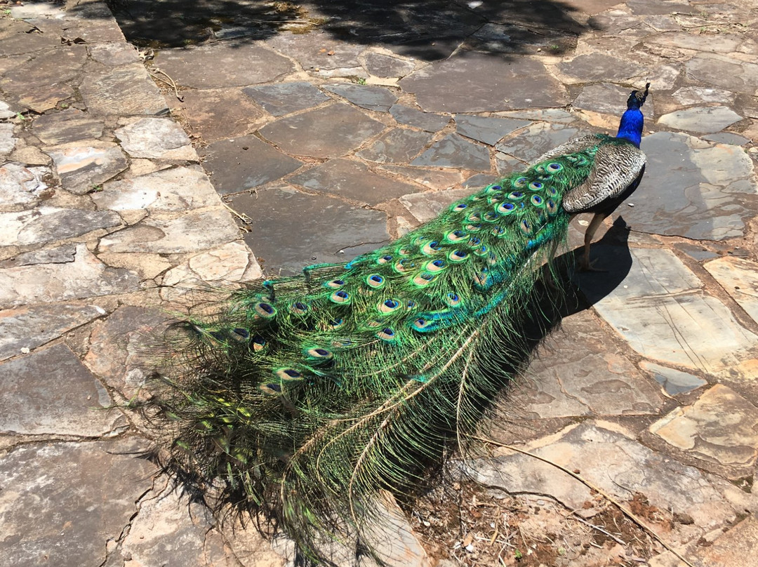 Alanglade House Museum-朝圣者歇息地必去景点