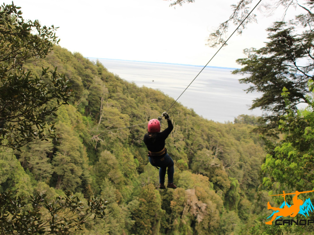 Canopy Chile景点图片