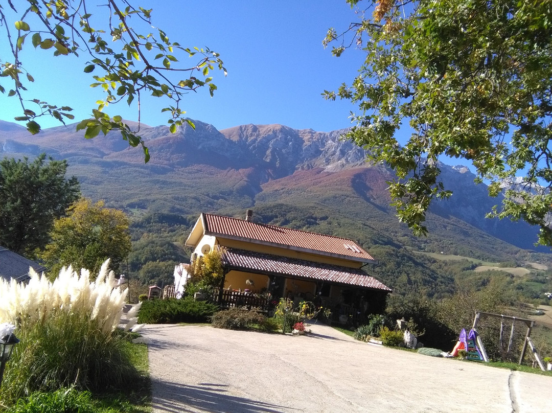 金雀花住宿加早餐旅馆