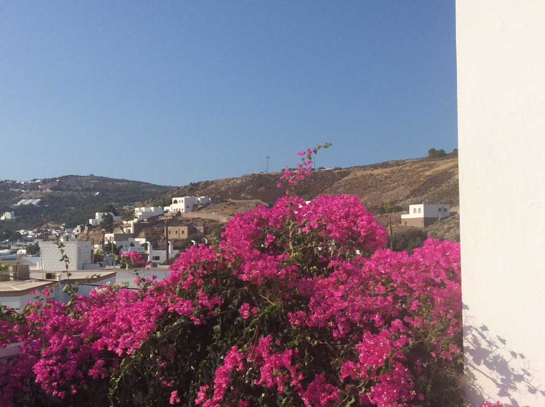 Australis Hotel主图