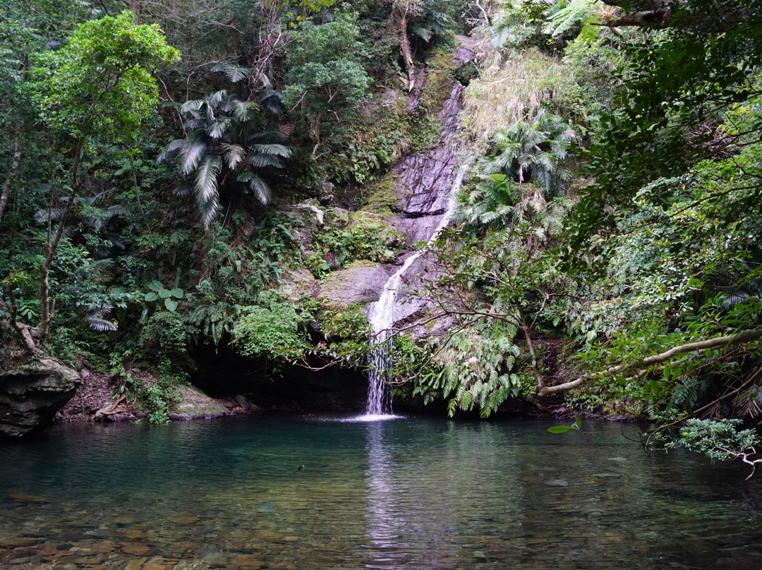 Fukugawa Falls-名护市必去景点