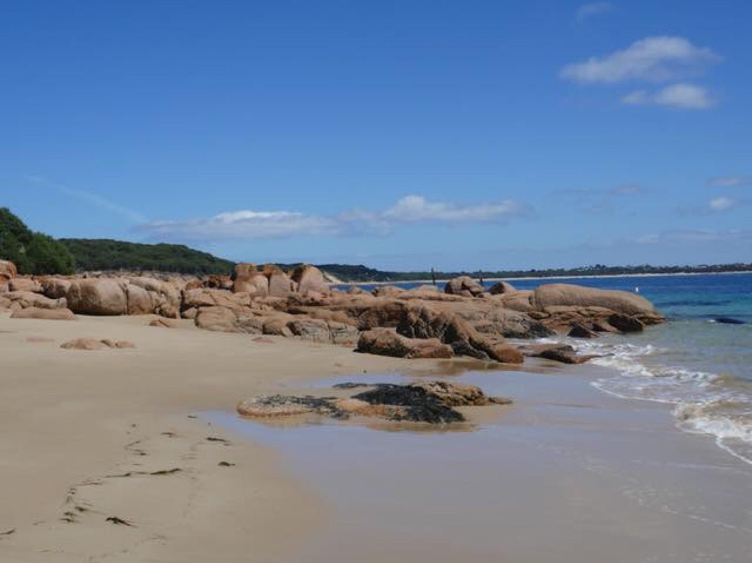 Ocean Adventures Phillip Island景点图片