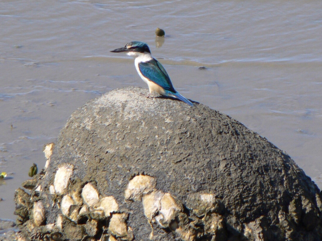 Panmure Basin-Panmure必去景点
