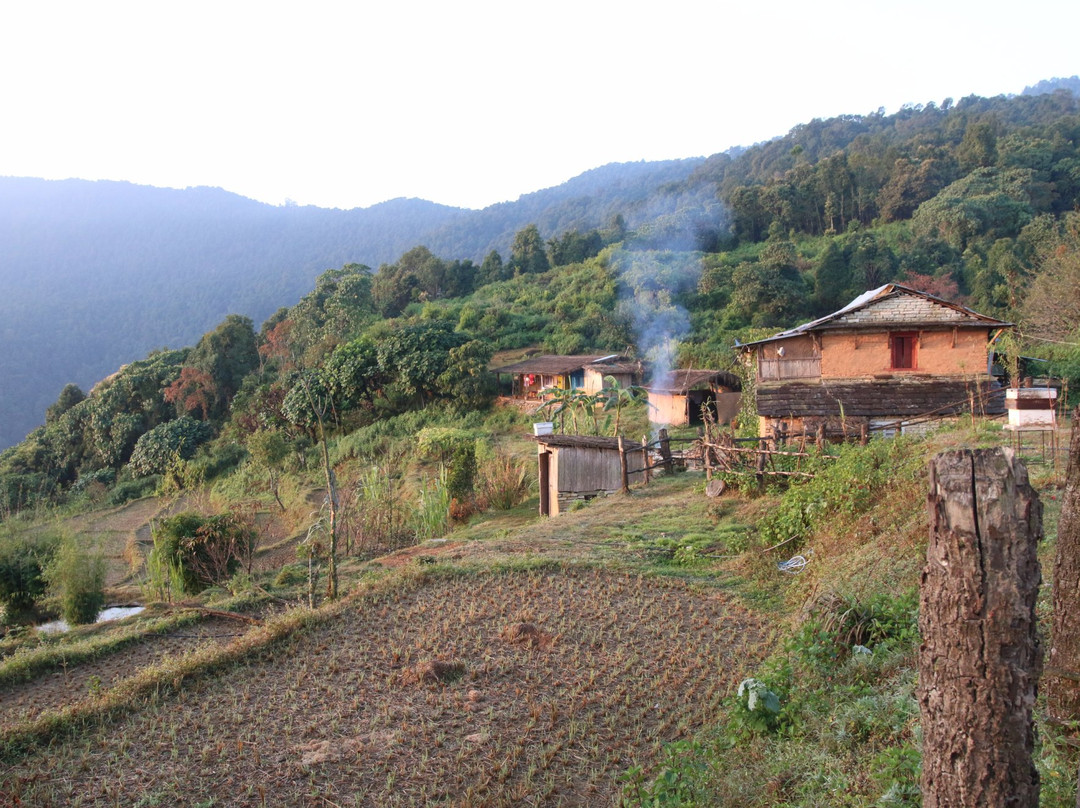 Adam Tribe Organic Farm景点图片