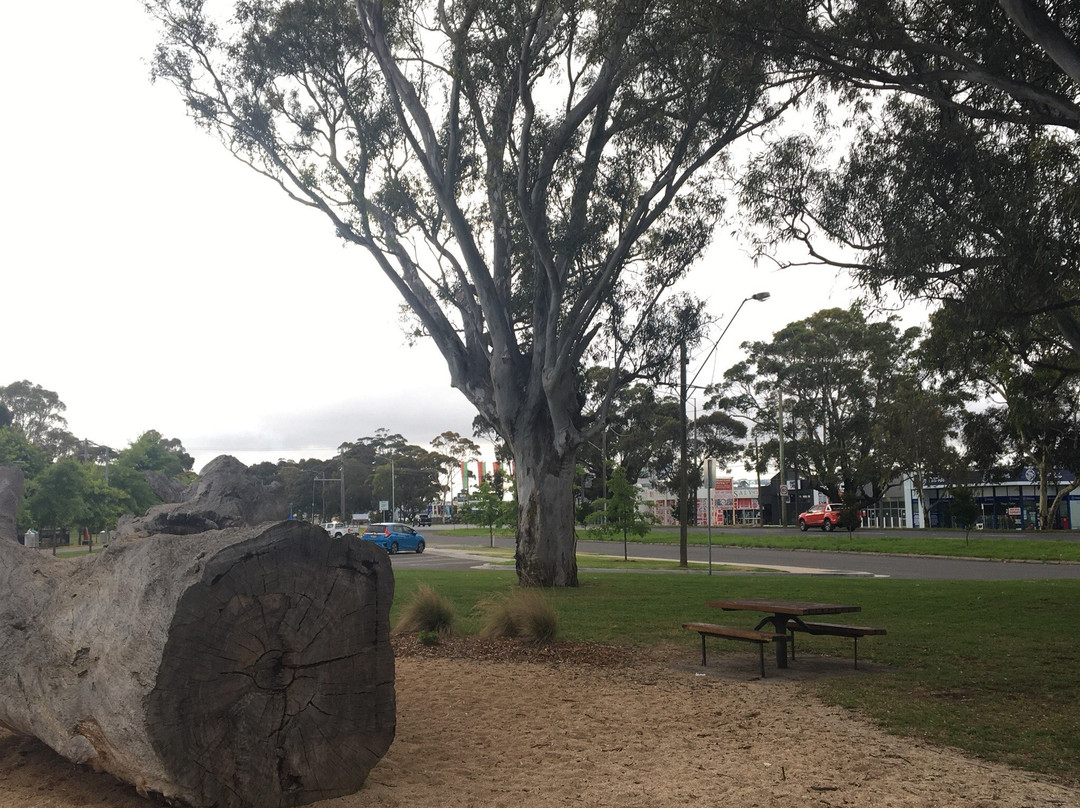 Dandenong Park景点图片