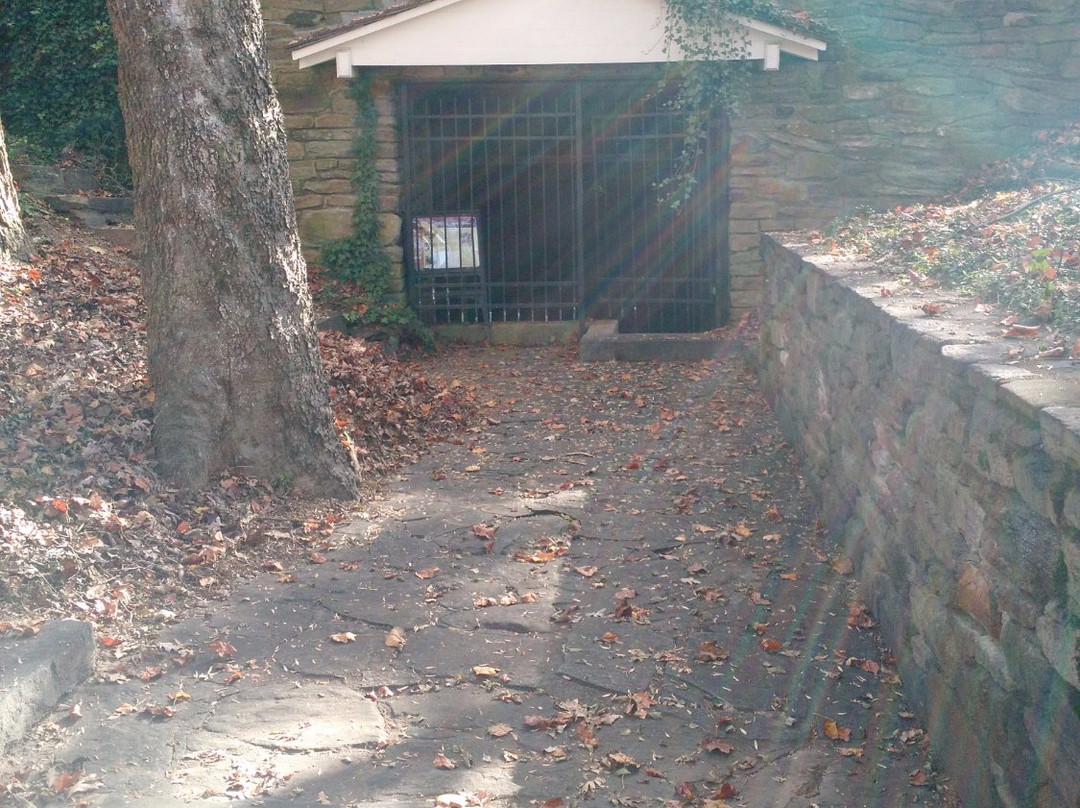 Fort Hill Plantation景点图片
