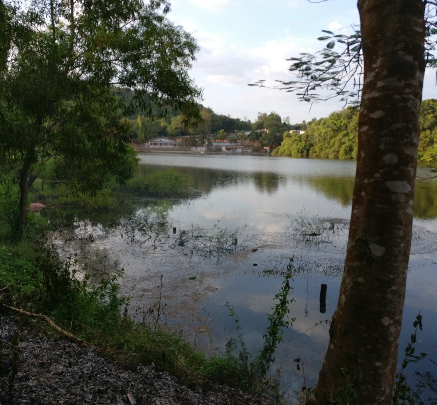 Mayem Lake View主图