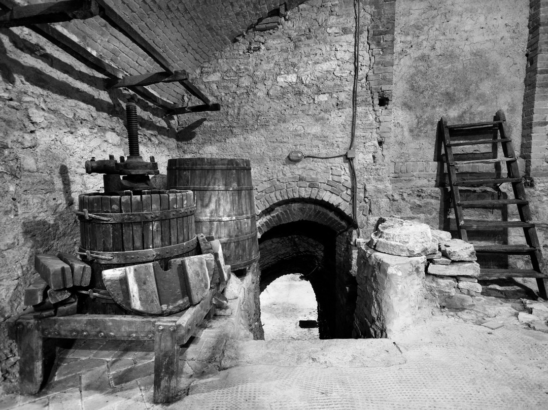 Museo dell'Antica Grancia e dell'Olio景点图片