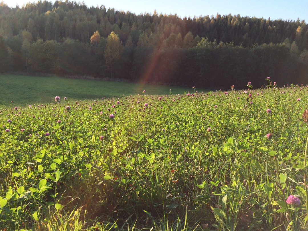 Kettukallion Elamystila, Kettukallio Farm Experience-Lohja必去景点