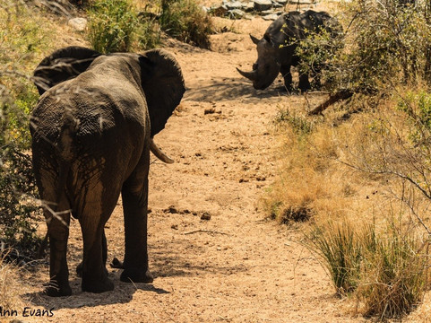 Regent Safaris-雾观必去景点