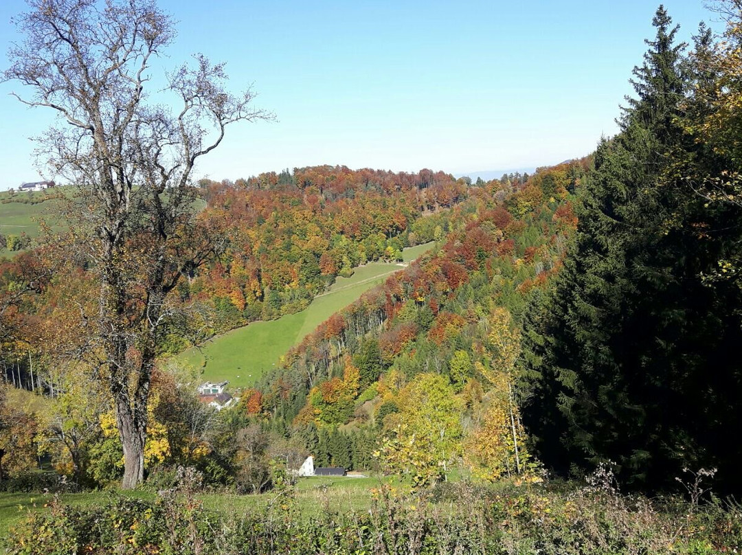 Losenstein餐馆和美食-Gasthof Koglerhof