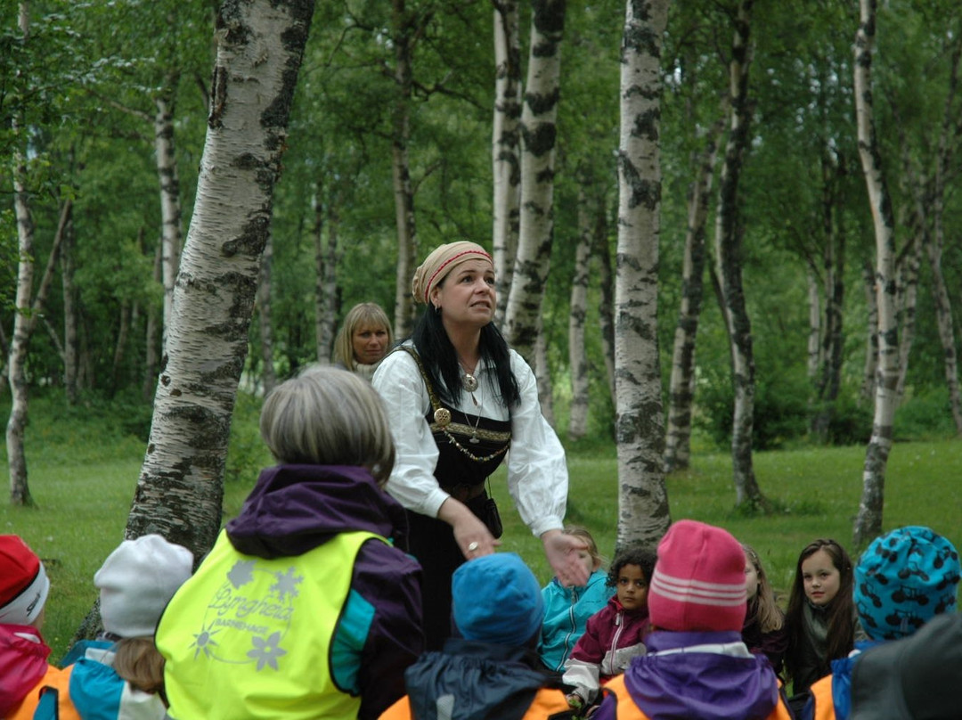 Fauske Folk Museum景点图片