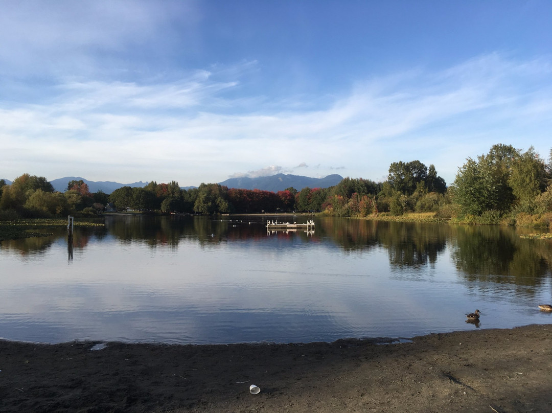 John Hendry (Trout Lake) Park-温哥华必去景点