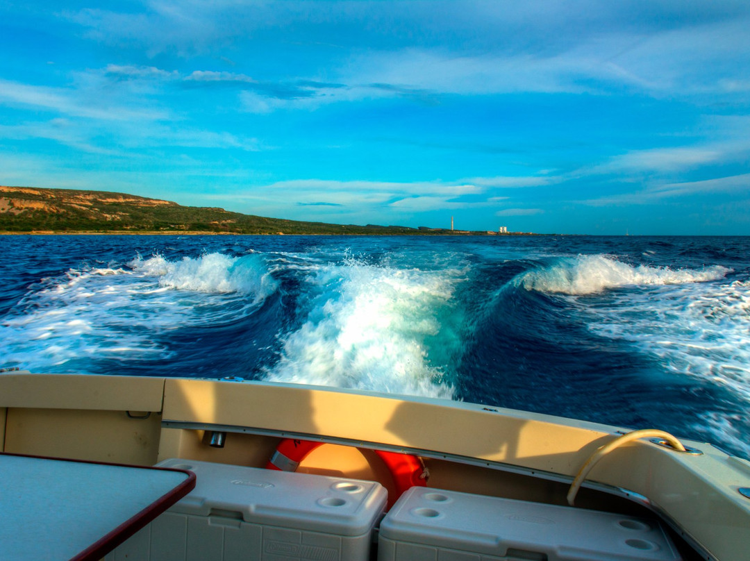 Summer Jam Private Yacht Charters-威廉斯塔德必去景点