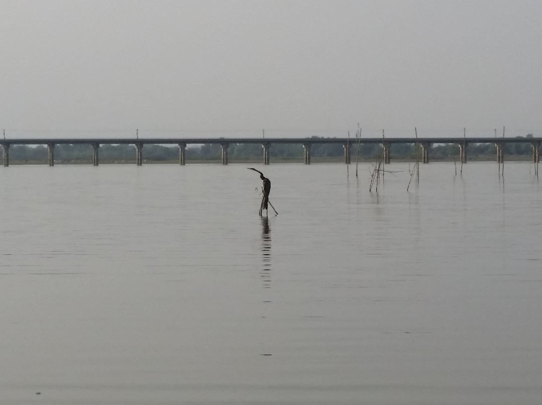 Floating Railway景点图片