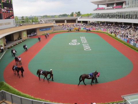 Chukyo Horse Race Track-丰明市必去景点