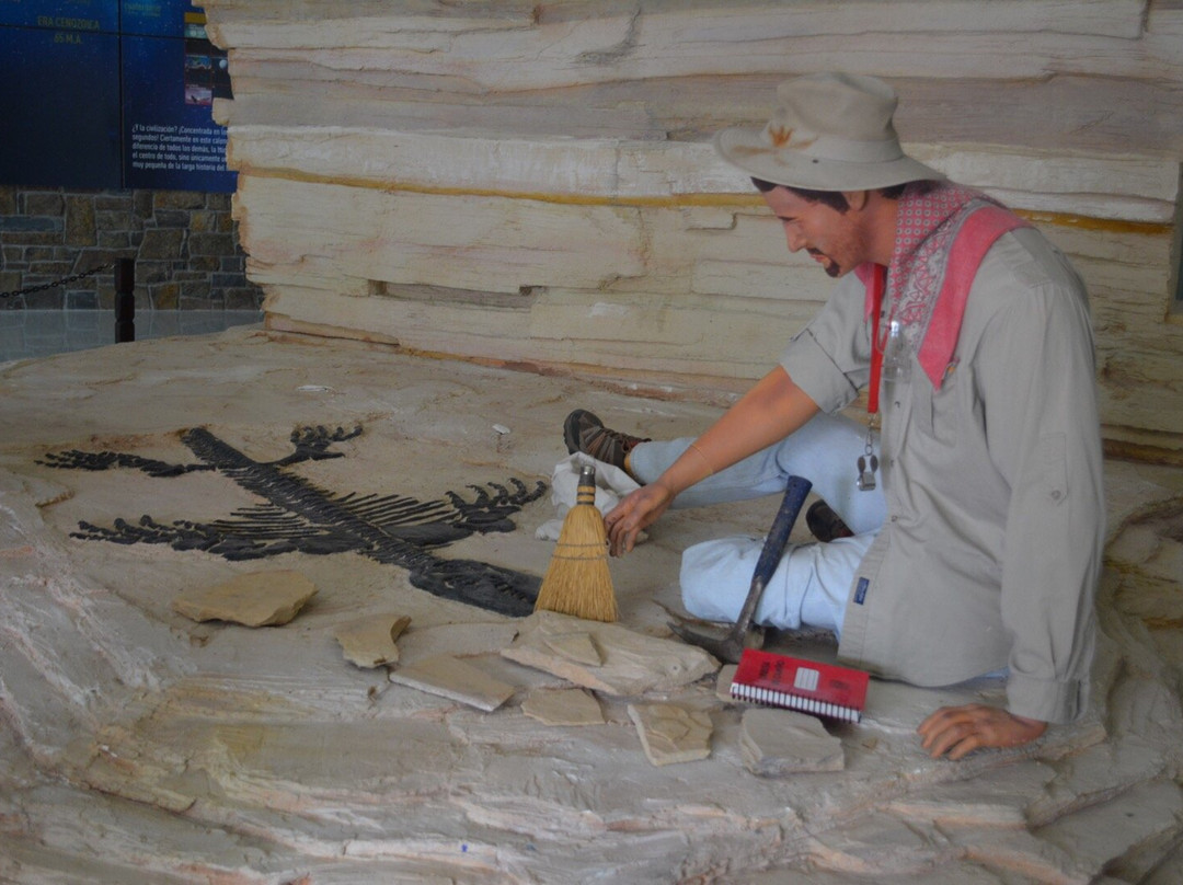 Museo de Paleontologia de Muzquiz-Muzquiz必去景点