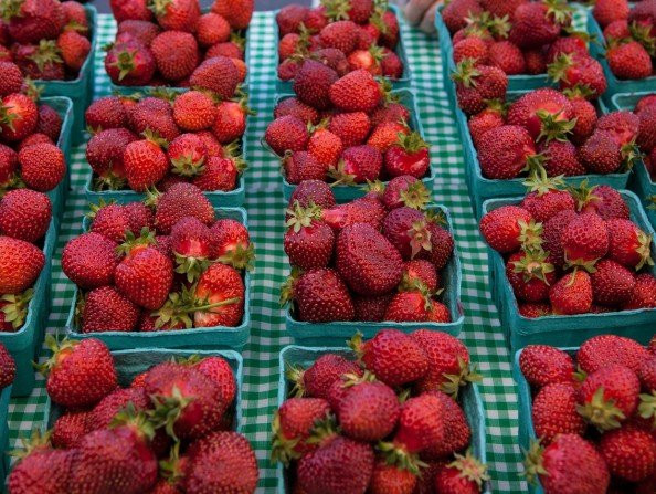 Forest Grove Farmers Market-Forest Grove必去景点