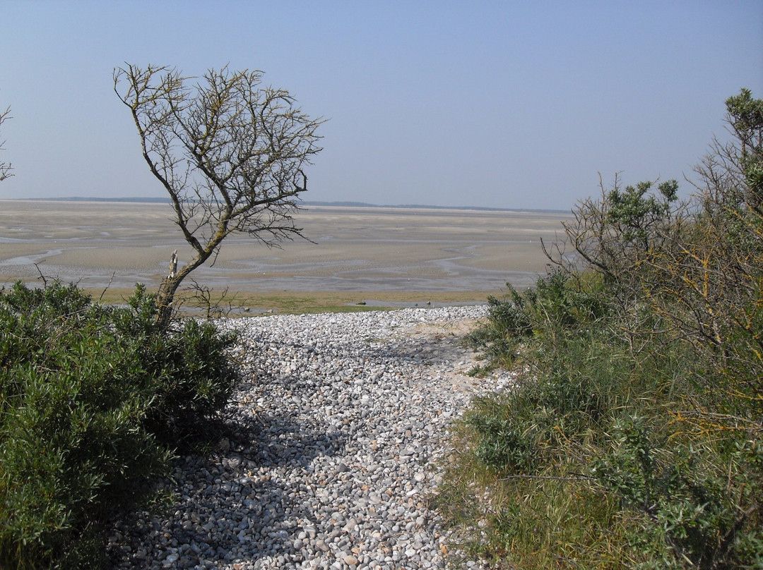 Association Aquarello Decouvertes-Cayeux-sur-Mer必去景点