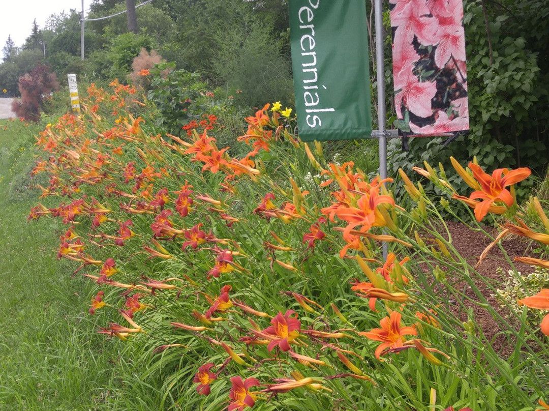 Gardens Plus-彼得伯勒必去景点