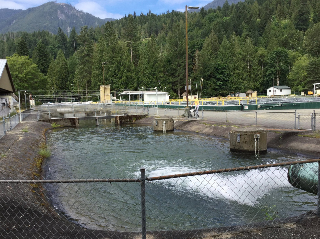 Chehalis River Salmon and Trout Enhancement Facility-阿加斯市必去景点