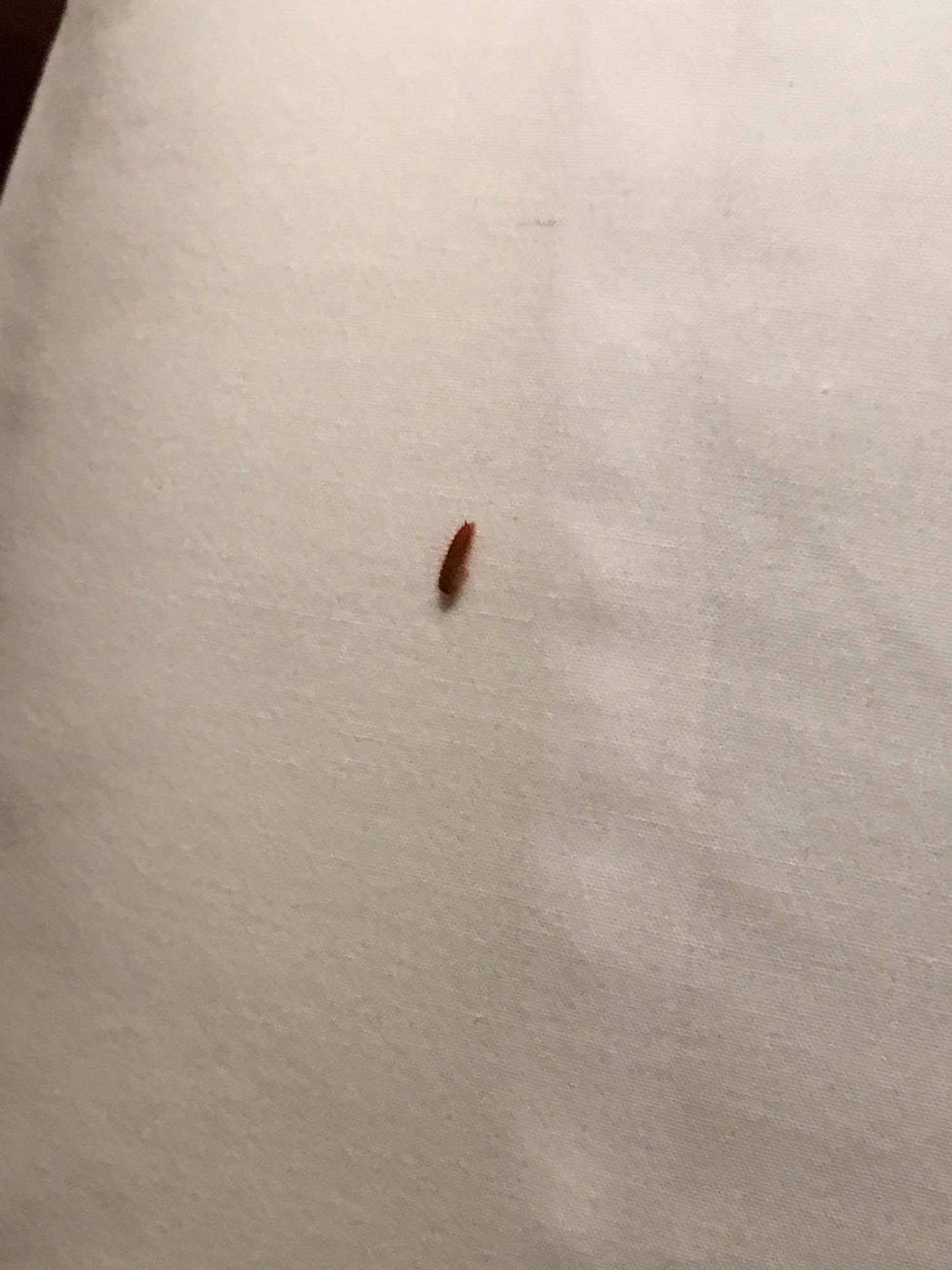 Alexander Mackenzie Hotel-官方