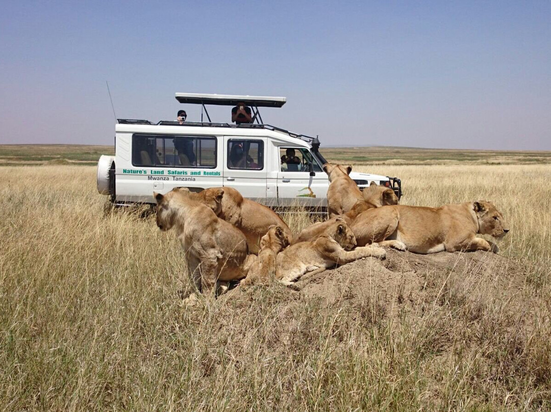 Nature's Land Safaris & Rentals-姆万扎必去景点