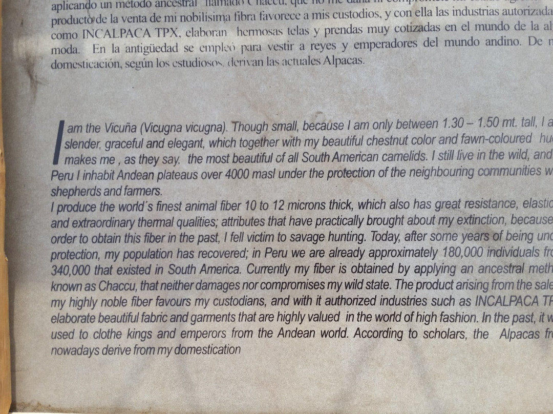 Incalpaca-阿雷基帕必去景点