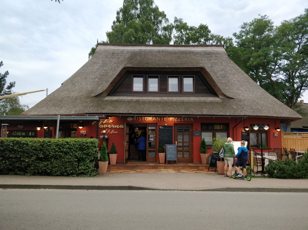 Born auf dem Darss旅游攻略图片