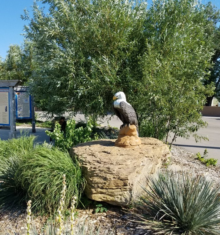 Centennial Park-Buffalo必去景点